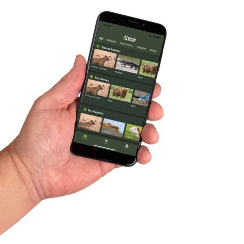 Chematoare electronica ICOtec GC300 Gen2 + Bluetooth